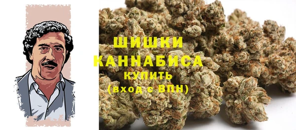 молекула духа Аркадак