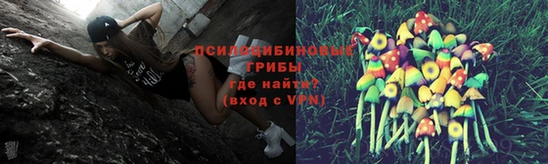 соль ск Армянск
