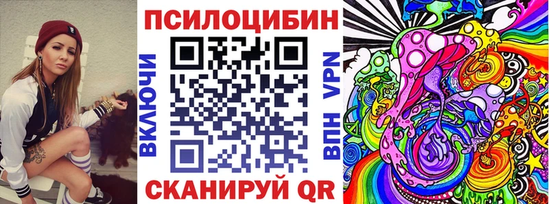 где продают   Сорочинск  Псилоцибиновые грибы мицелий 
